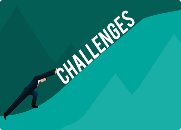 Prosmile Challenges
